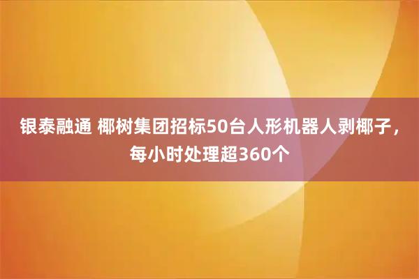 银泰融通 椰树集团招标50台人形机器人剥椰子，每小时处理超360个