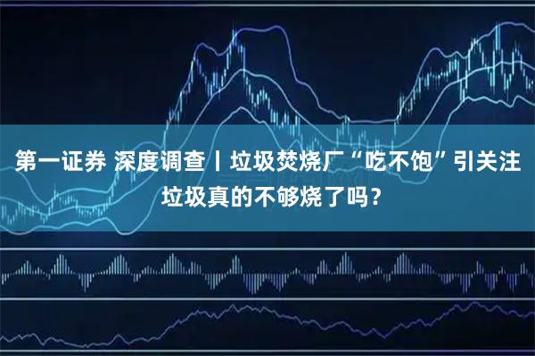第一证券 深度调查丨垃圾焚烧厂“吃不饱”引关注 垃圾真的不够烧了吗？