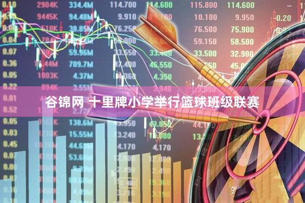 谷锦网 十里牌小学举行篮球班级联赛