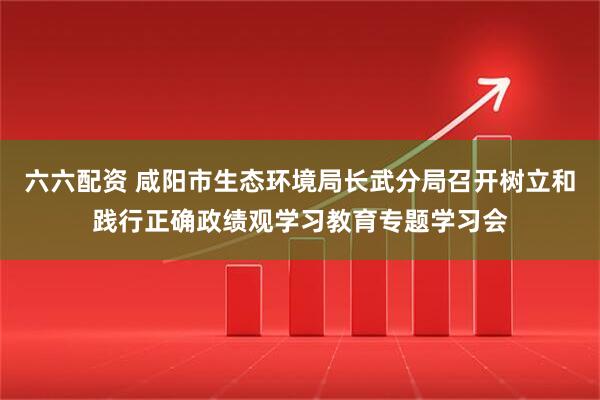 六六配资 咸阳市生态环境局长武分局召开树立和践行正确政绩观学习教育专题学习会