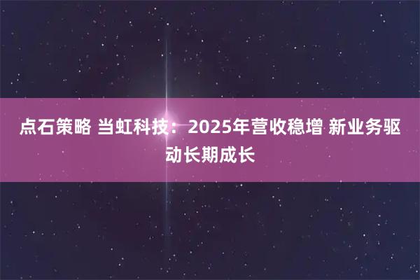 点石策略 当虹科技：2025年营收稳增 新业务驱动长期成长